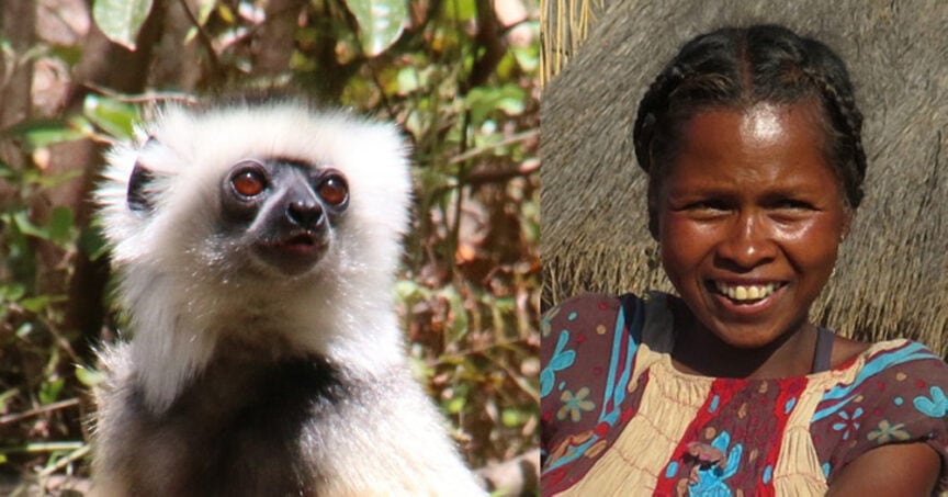 A close-up of a lemur on the left and a woman smiling on the right, capturing precious moments with the lush trees and plants of Madagascar in the background.