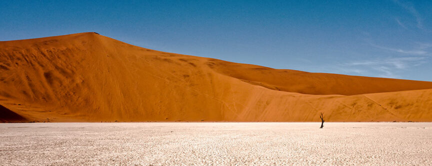 A vast desert scene with a large red sand dune under a clear blue sky, reminiscent of Namibia's striking landscapes. A solitary, barren tree stands on the flat foreground of white, cracked earth, hinting at the resilience of local wildlife in this harsh environment.