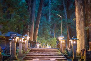 Stone steps and lanterns lead through a serene, forested area with tall trees, under soft, ambient lighting—a scene reminiscent of Koyasan and steeped in ancient Japanese culture.