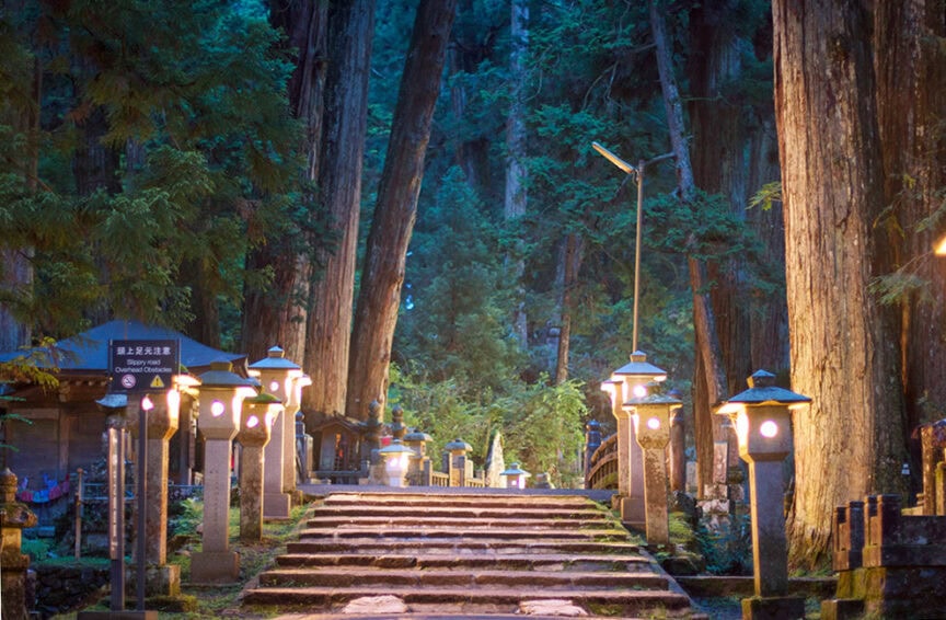 Stone steps and lanterns lead through a serene, forested area with tall trees, under soft, ambient lighting—a scene reminiscent of Koyasan and steeped in ancient Japanese culture.
