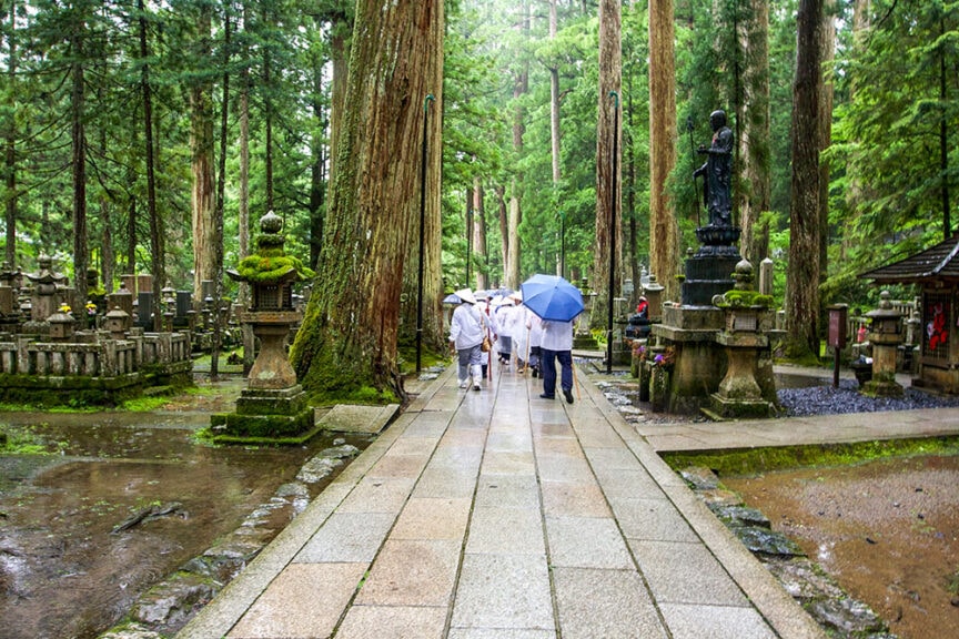 A group of people dressed in white walk along a stone pathway with umbrellas in a forested area, surrounded by statues and stone lanterns, capturing the essence of Koyasan and ancient Japanese culture.