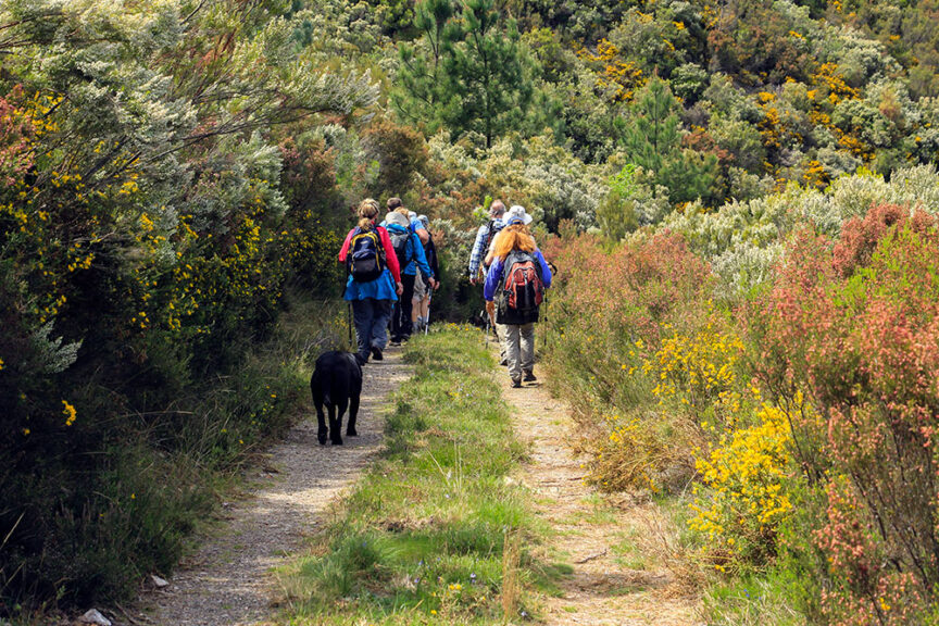 A group of people with backpacks hiking on a trail through the lush, green landscape of rural Portugal. A black dog follows behind them, enjoying the simple pleasures of the serene surroundings.
