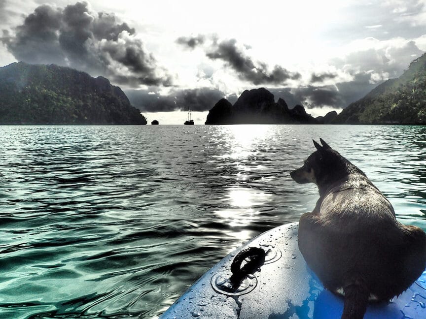 A dog sits on a kayak in calm waters, with cloudy skies and rocky islands in the background, embodying the spirit of the wild frontier.