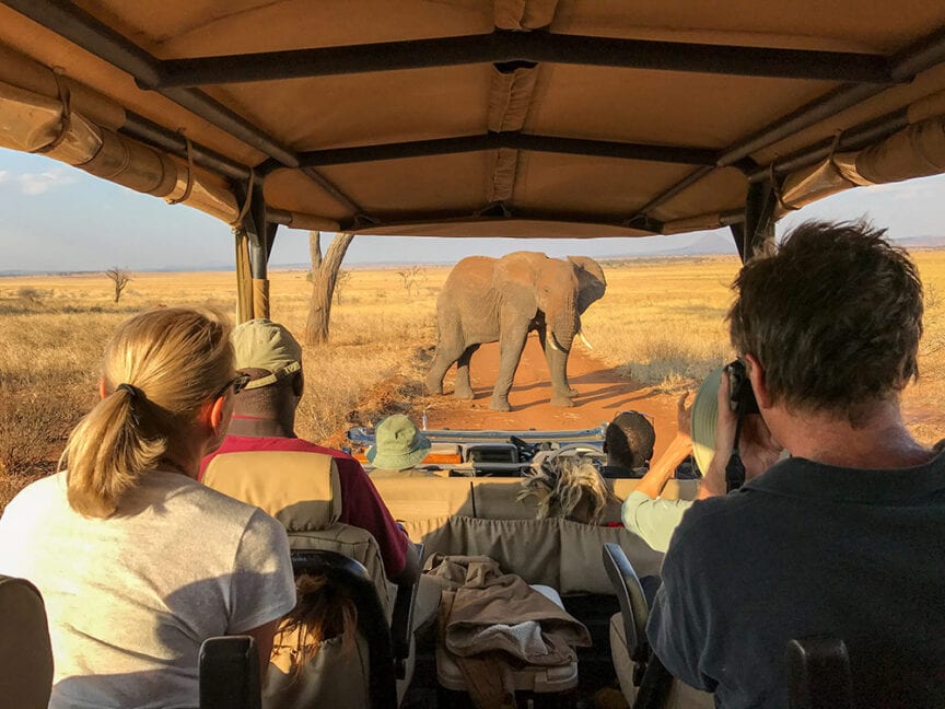 Tourists in a safari vehicle observe and photograph an elephant walking across a dirt road in the stunning savannah landscape of Tanzania.