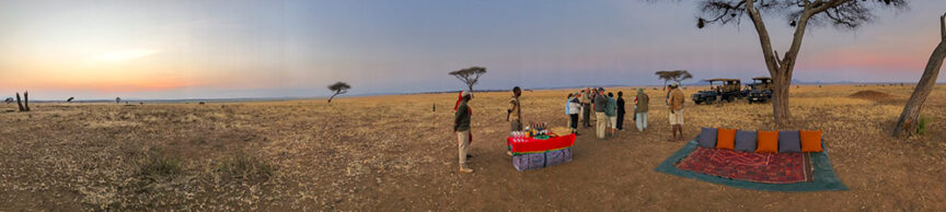 A group of people stands near a picnic setup with a table covered in food and drinks in a savannah landscape at sunset, amidst the enchanting backdrop of a Wildlife Safari. A safari vehicle and a blanket with pillows add to the cozy ambiance.
