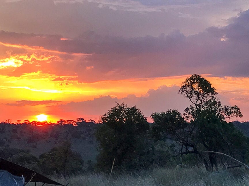 A vibrant sunset with a glowing orange sky, scattered clouds, tree silhouettes, and a grassy landscape in the foreground evokes the breathtaking beauty of a Wildlife Safari in Tanzania.
