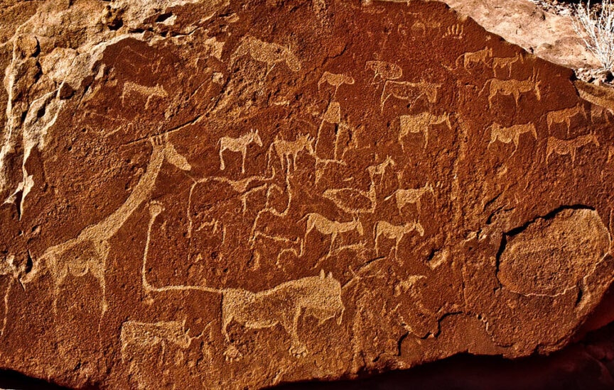 Ancient rock art in Namibia features engravings of various animals, including giraffes, antelopes, and other wildlife, etched into a reddish-brown stone surface.