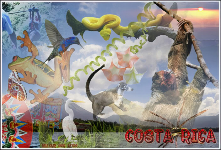 A colorful collage of Costa Rican wildlife and scenery, featuring a frog, hummingbird, sloth, monkey, flowers, traditional masks, and the text "Costa Rica" in red—where the wild things are truly spectacular.