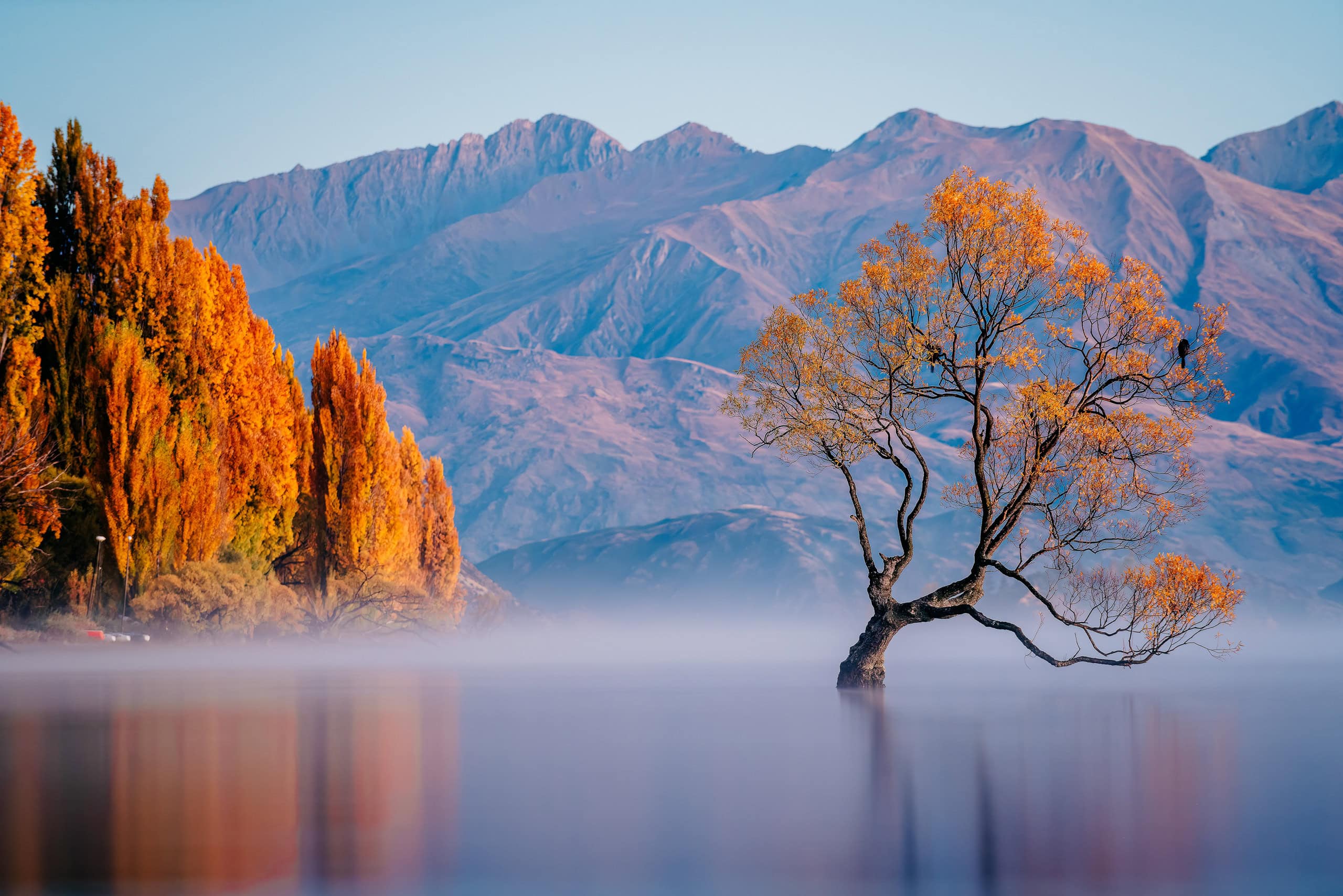 Best Time to Visit New Zealand by Month & Season