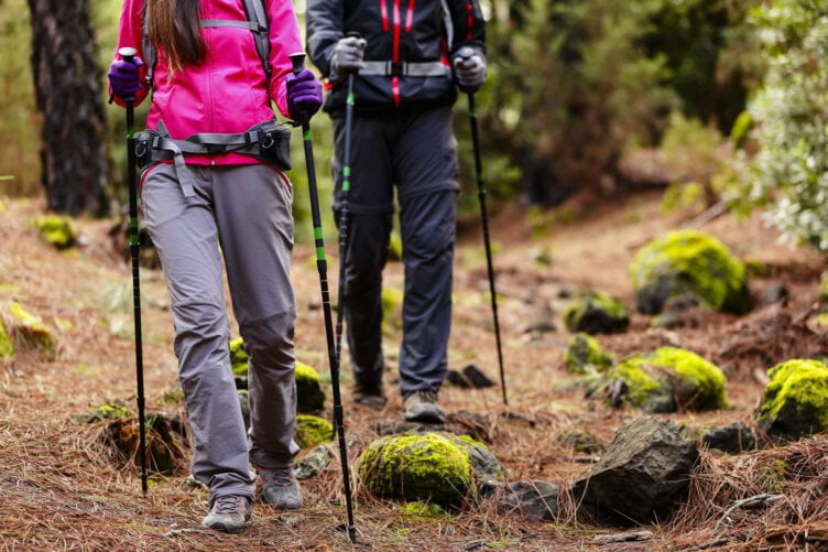 Two people wearing hiking gear and using trekking poles walk on a forest trail with moss-covered rocks and pine needles, as if they were acclimatizing for a trek in Nepal.