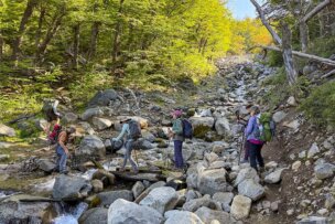Five travelers with backpacks cross a rocky stream in a forest filled with green and yellow foliage under a clear sky, capturing the spirit of an adventurous trip.