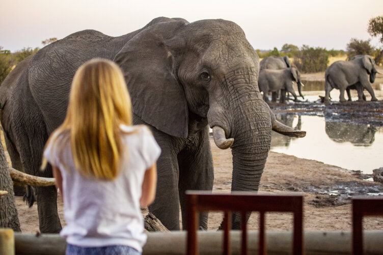 A traveler with long hair observes an elephant standing nearby, while several other elephants gather at a waterhole in the background.