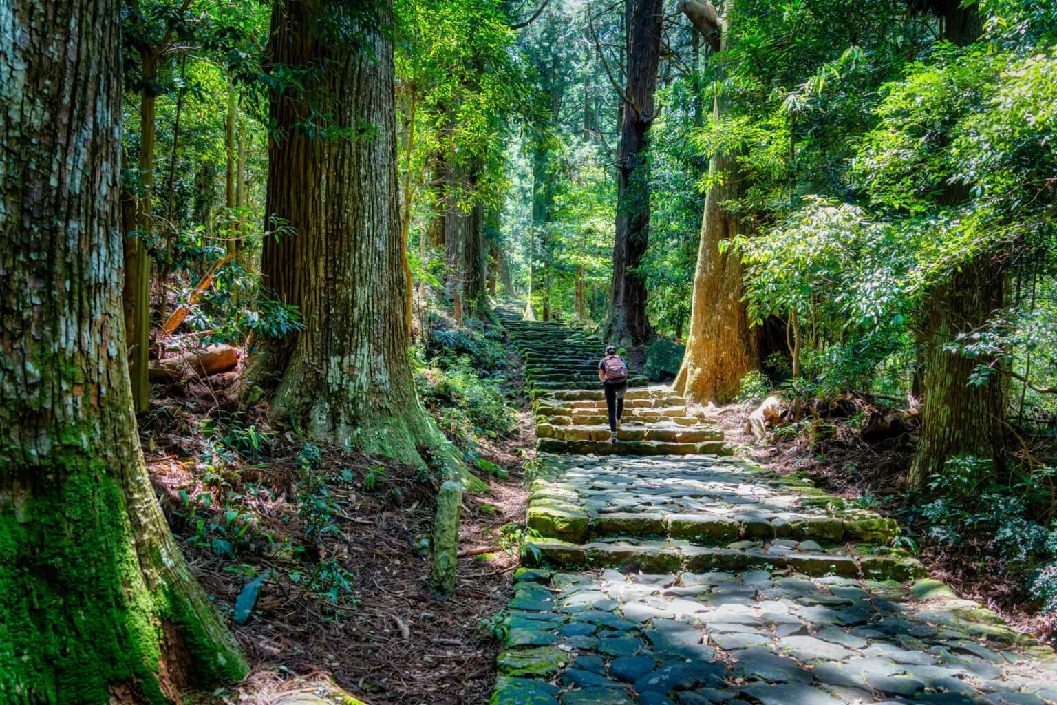 Quotes Meaning You Walk A Lonely Road Japan: Kumano Kodo To