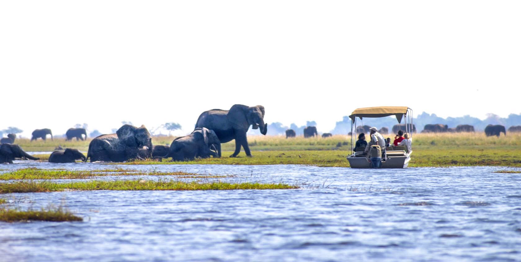 A small boat with people approaches a group of elephants standing and resting near the edge of a river in a grassy landscape, making it clear why this is considered the Best Time To Visit.