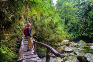 A person with a red backpack stands on a wooden footbridge in a lush, green forest—an inspiring scene for anyone planning their Top Ten Destinations 2026 adventure.
