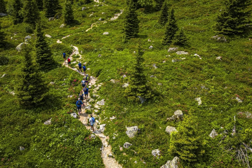 A group of hikers walks along a winding dirt trail through a green, mountainous landscape dotted with rocks and pine trees, enjoying the iconic hiking Tour du Mont Blanc.