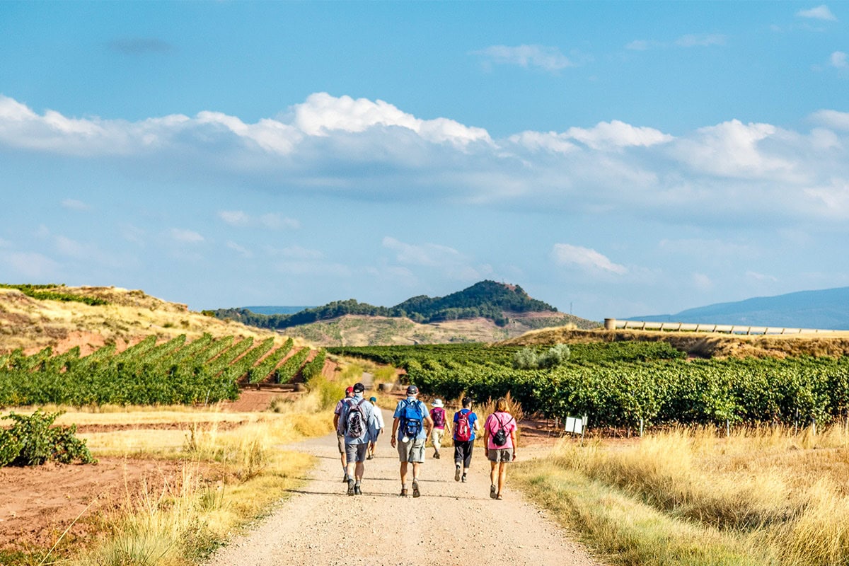 Four people with backpacks walk along a dirt path through a vineyard landscape on a clear, sunny day with hills in the background, experiencing the magic of the Camino de Santiago during Holy Year.