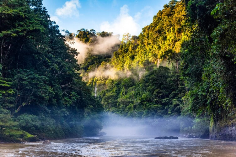 A river flows through dense rainforest in Peru with mist rising and sunlight illuminating the treetops under a blue sky, making it a stunning travel destination and highlighting the best time to visit this natural paradise.
