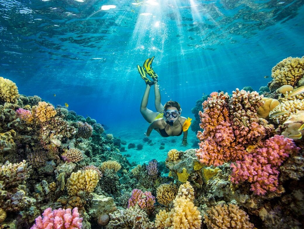 A snorkeler explores the vibrant coral reefs of Raja Ampat in clear blue water, surrounded by colorful corals and sunlight streaming from above—an unforgettable snorkeling paradise.