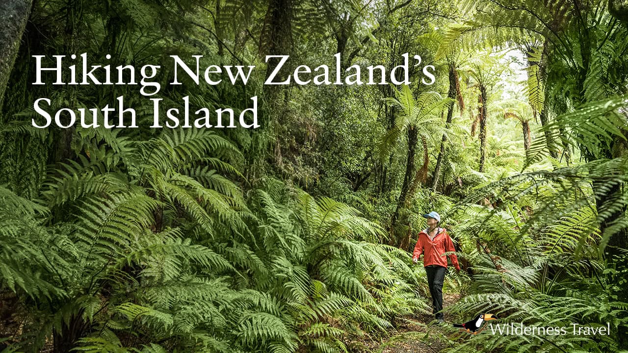 10-NZSOUTH-video-thumb-rev3