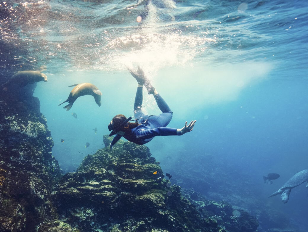 A diver swims underwater near rocky coral as sea lions and fish glide nearby in clear blue water—the perfect scene for those seeking the Best Time to Visit the Galapagos.