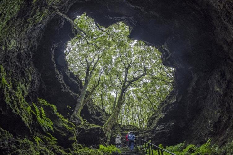Two people stand at the entrance of a large cave, surrounded by green plants and trees, looking up at the circular opening above—one of the unique Azores things to do for adventure seekers.