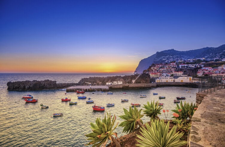 Colorful boats float in a calm bay at sunset, with coastal cliffs and a charming village of white buildings topped with red roofs in the background—an inviting scene from any Madeira travel guide, surrounded by lush green plants.