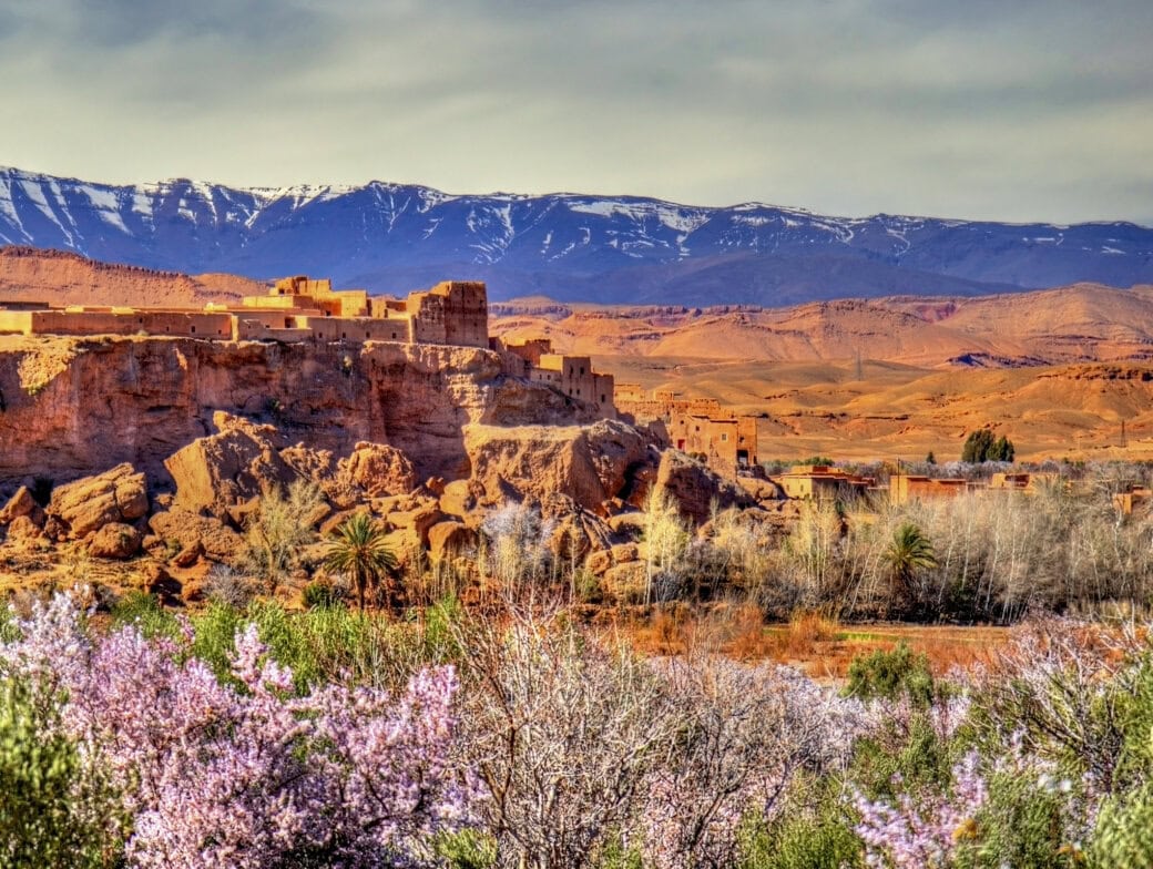 Ancient clay buildings sit atop a rocky hill in Morocco, framed by flowering trees and snow-capped mountains. Discover the breathtaking views and learn about the Best Time To Visit for an unforgettable experience.