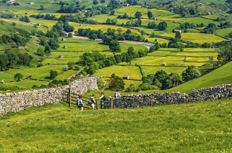 Four people walk along a stone wall through green fields and yellow patches, with scattered trees and hills in the background.