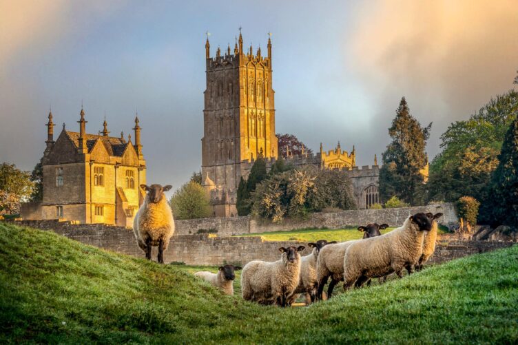 Sheep graze on a grassy hill in the foreground, with a historic stone church and buildings under a golden sky in the background—capturing the timeless charm of England countryside and its best countryside regions.