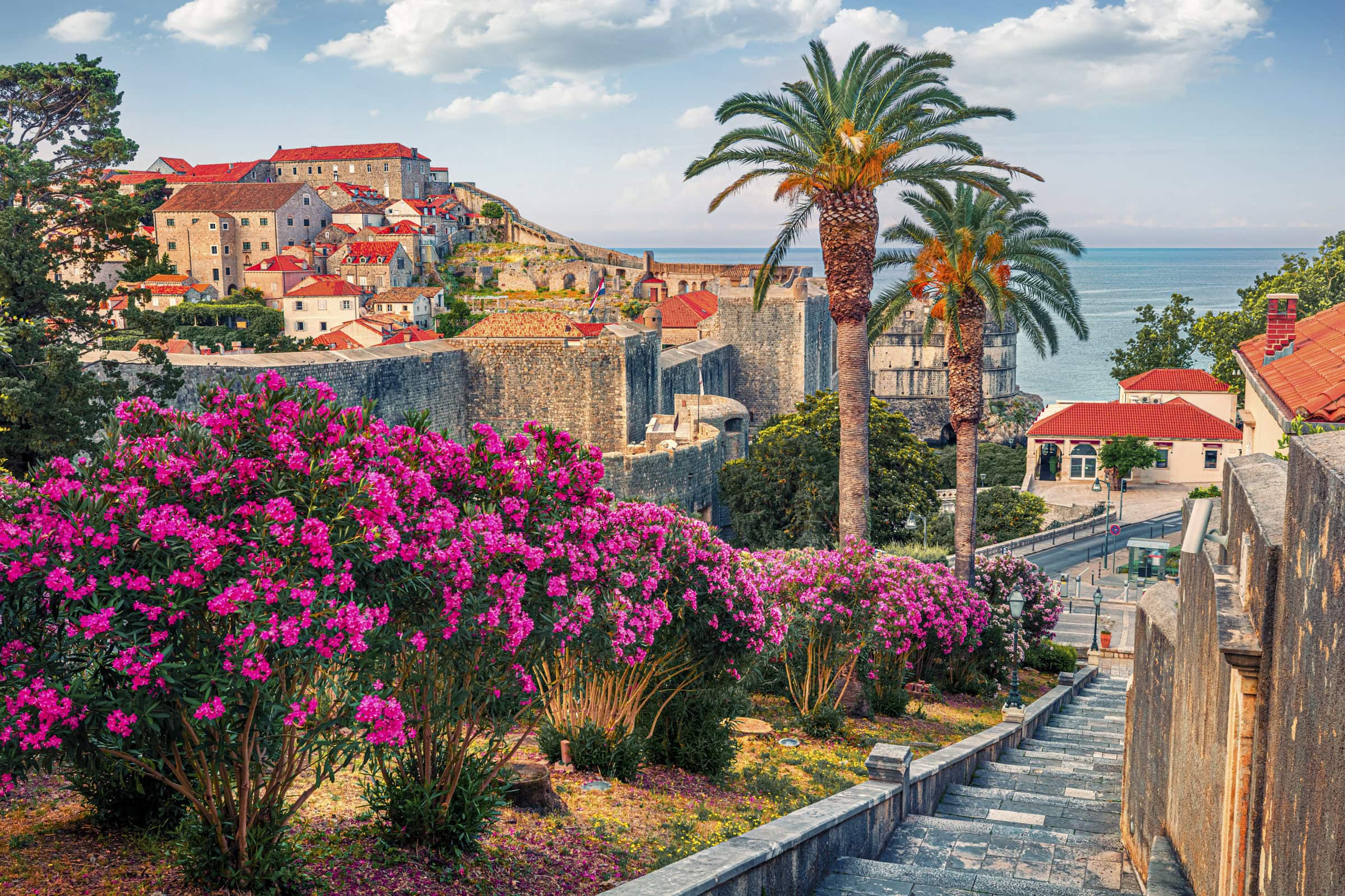 Stone steps descend beside blooming pink bushes and palm trees toward the historic stone walls and red-roofed buildings of a charming coastal town in Croatia by the sea—the best time to visit is when flowers are in full bloom.