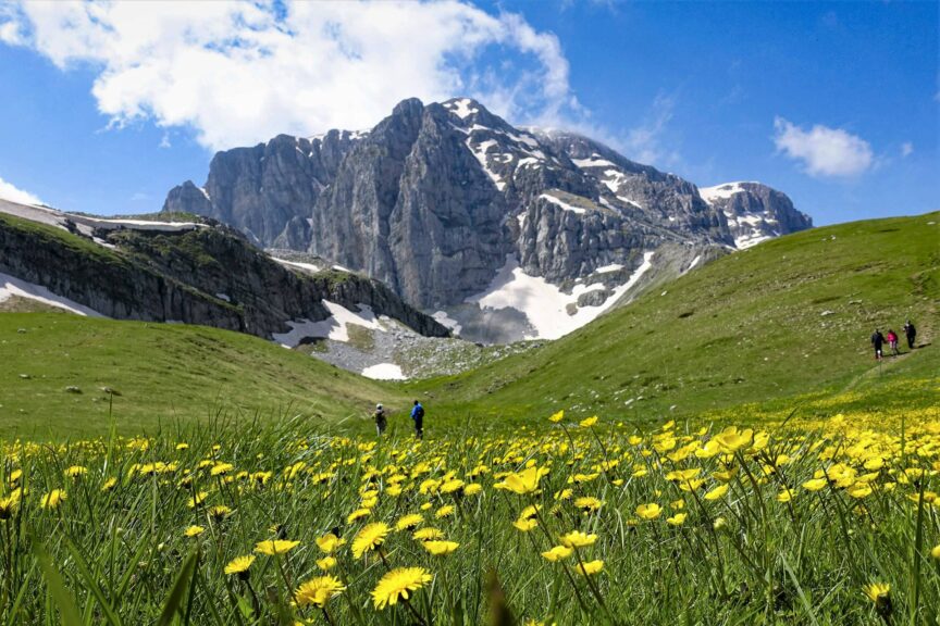 A green meadow with yellow wildflowers leads to snow-capped mountains under a blue sky. Several people are walking along a trail in the distance, evoking the serene beauty reminiscent of the best time to visit Greece.