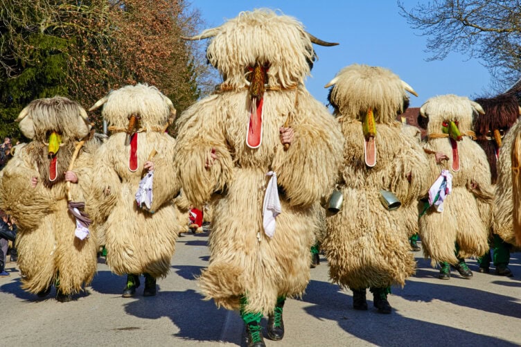 People dressed in large, shaggy fur costumes with long red tongues and yellow beaks parade through the streets—a spectacle not to miss if you're searching for the Best Time to Visit Slovenia during its unique festivals.