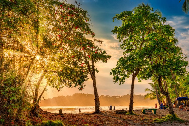 People stand and walk on a tropical beach at sunset, with trees in the foreground and sunlight streaming through the leaves—a perfect snapshot of Costa Rica travel.