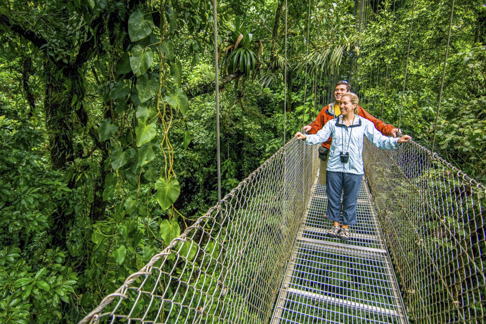 Two people walk on a suspended bridge through a lush, green rainforest, surrounded by dense vegetation and large leaves.
