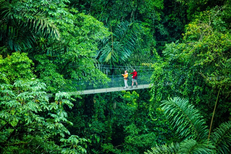 Two people walk on a suspended bridge surrounded by dense green rainforest foliage, experiencing one of the top attractions and unforgettable things to do in Costa Rica.