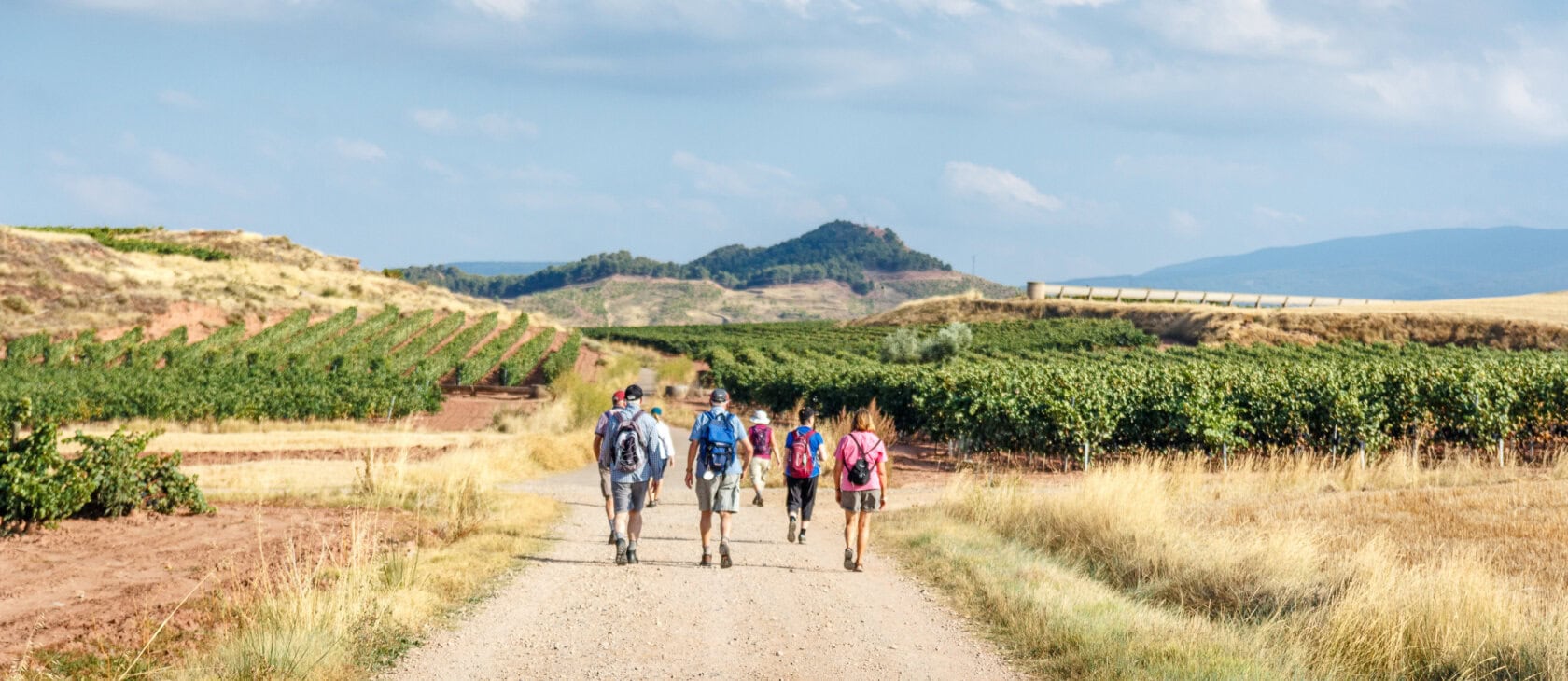 Six people with backpacks walk down a dirt road between fields and vineyards, on a pilgrimage along the Camino de Santiago under a partly cloudy sky, hills in the distance.