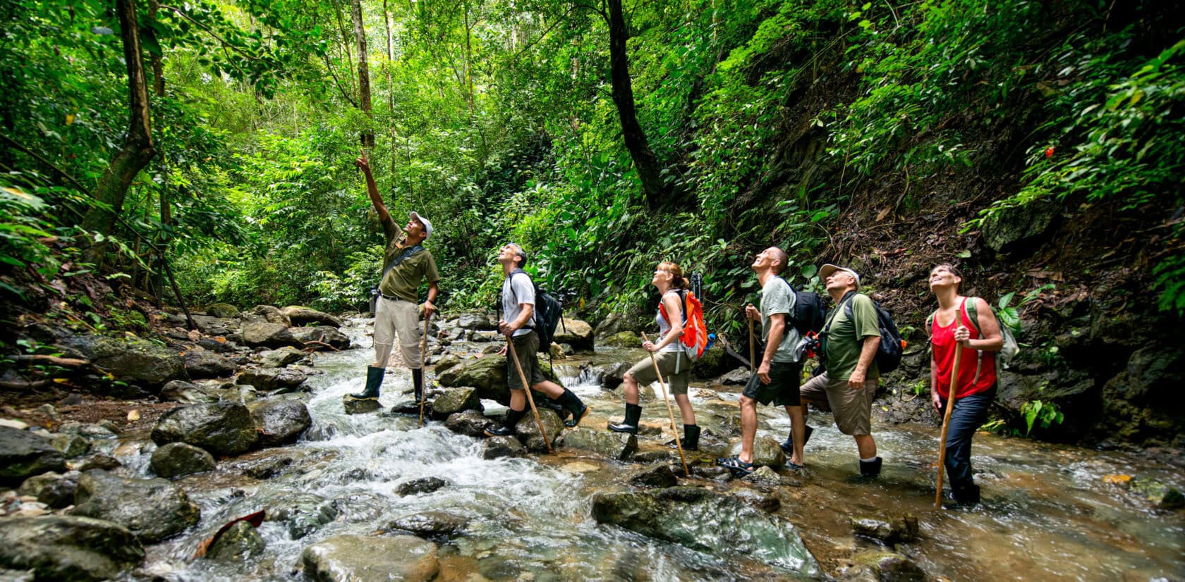 Six people with backpacks and walking sticks hike through a rocky, shallow stream in a lush, green forest in Costa Rica, pausing to observe something above in the trees—an unforgettable moment among the many things to do while you travel through this vibrant country.