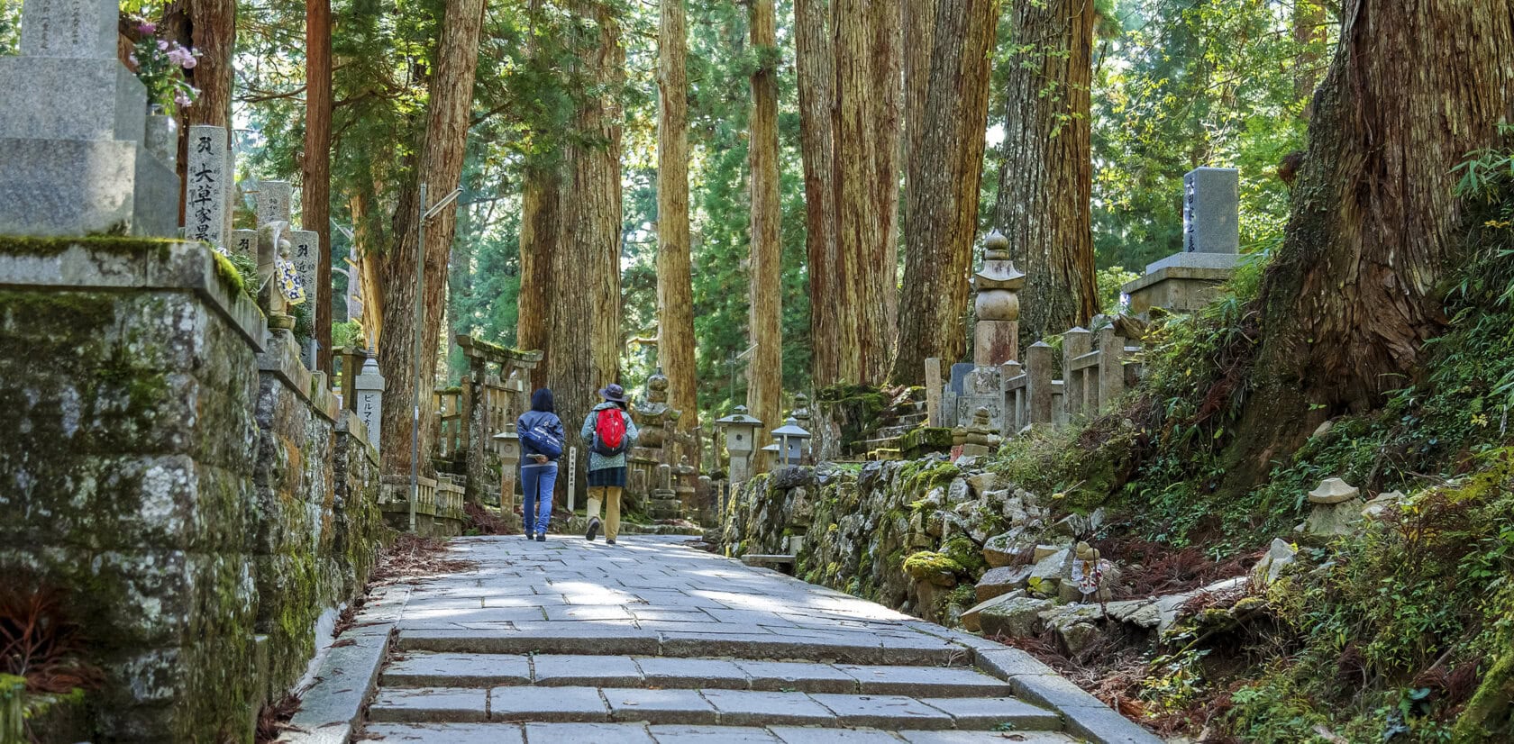 Two people walk along a stone path through a forested cemetery, reminiscent of the Kumano Kodo routes, with tall trees and stone monuments on both sides.