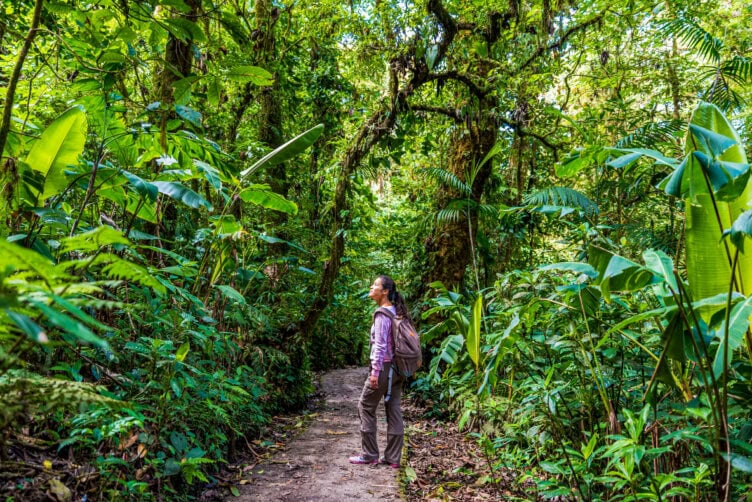 Person with a backpack stands on a dirt path, looking up at dense, green tropical forest vegetation surrounding the trail—a perfect moment for anyone seeking adventure during their Costa Rica travel.
