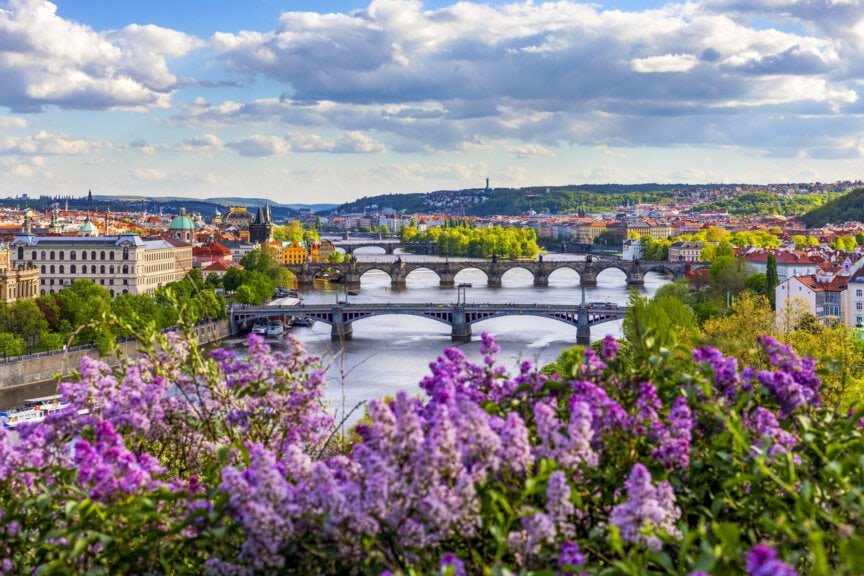 View of multiple historic bridges crossing a river in the Czech Republic, with blooming purple flowers, city buildings, and greenery under a partly cloudy sky—the best time to visit.