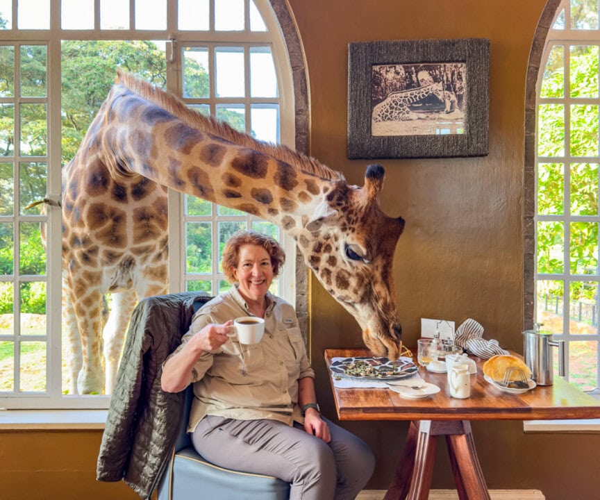 A woman drinks from a mug at a table during a private African safari as a giraffe reaches through an open window to eat food from her plate.