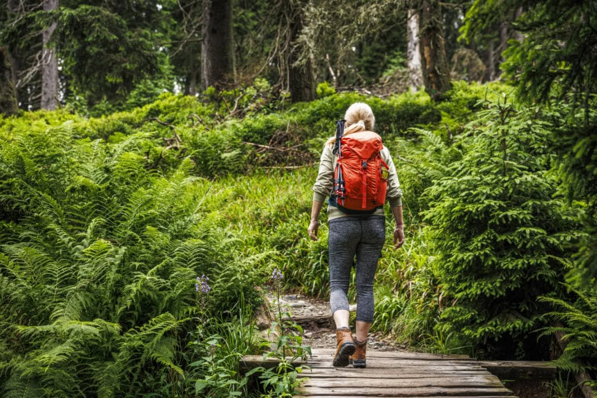 A person with a bright orange backpack walks on a wooden path through a green forest in the Czech Republic, surrounded by ferns and trees—a must-see for travel lovers.